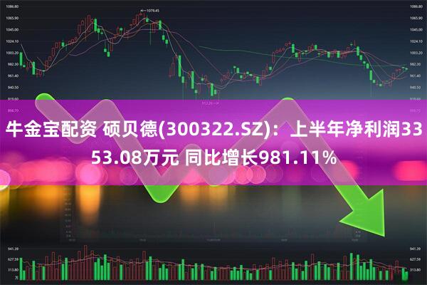 牛金宝配资 硕贝德(300322.SZ)：上半年净利润3353.08万元 同比增长981.11%