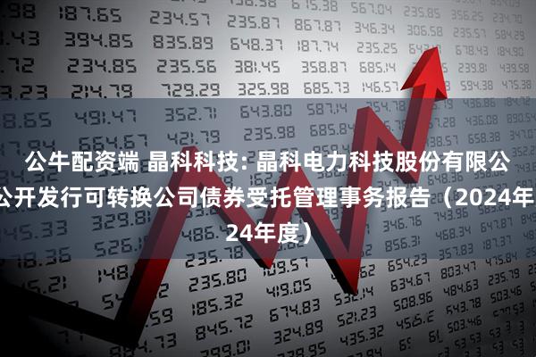 公牛配资端 晶科科技: 晶科电力科技股份有限公司公开发行可转换公司债券受托管理事务报告（2024年度）